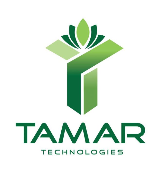 <h2>Tamar Technologies Logo Design</h2>